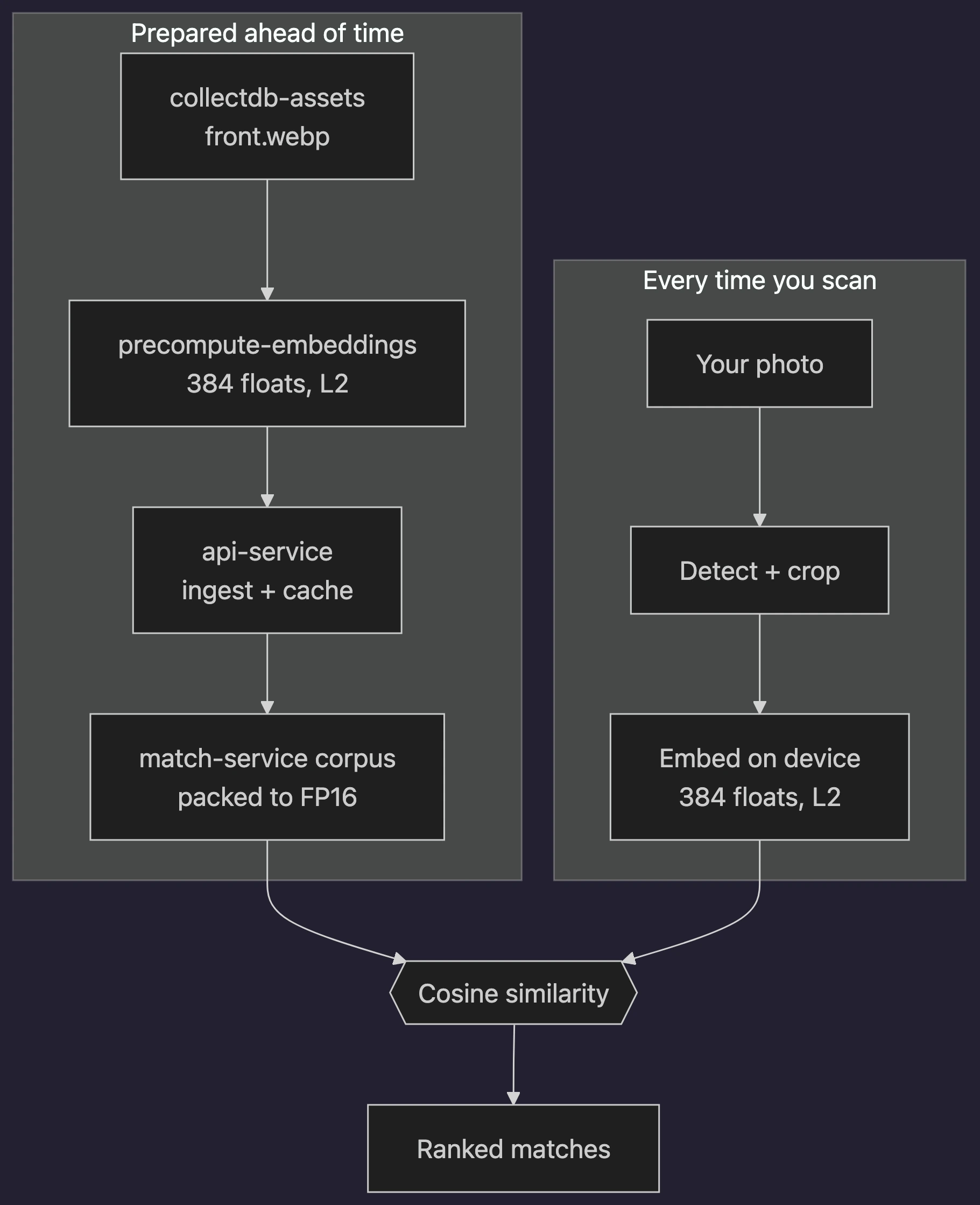 Two lanes: the catalog is embedded ahead of time, your photo is embedded on your device, and the two meet at cosine similarity